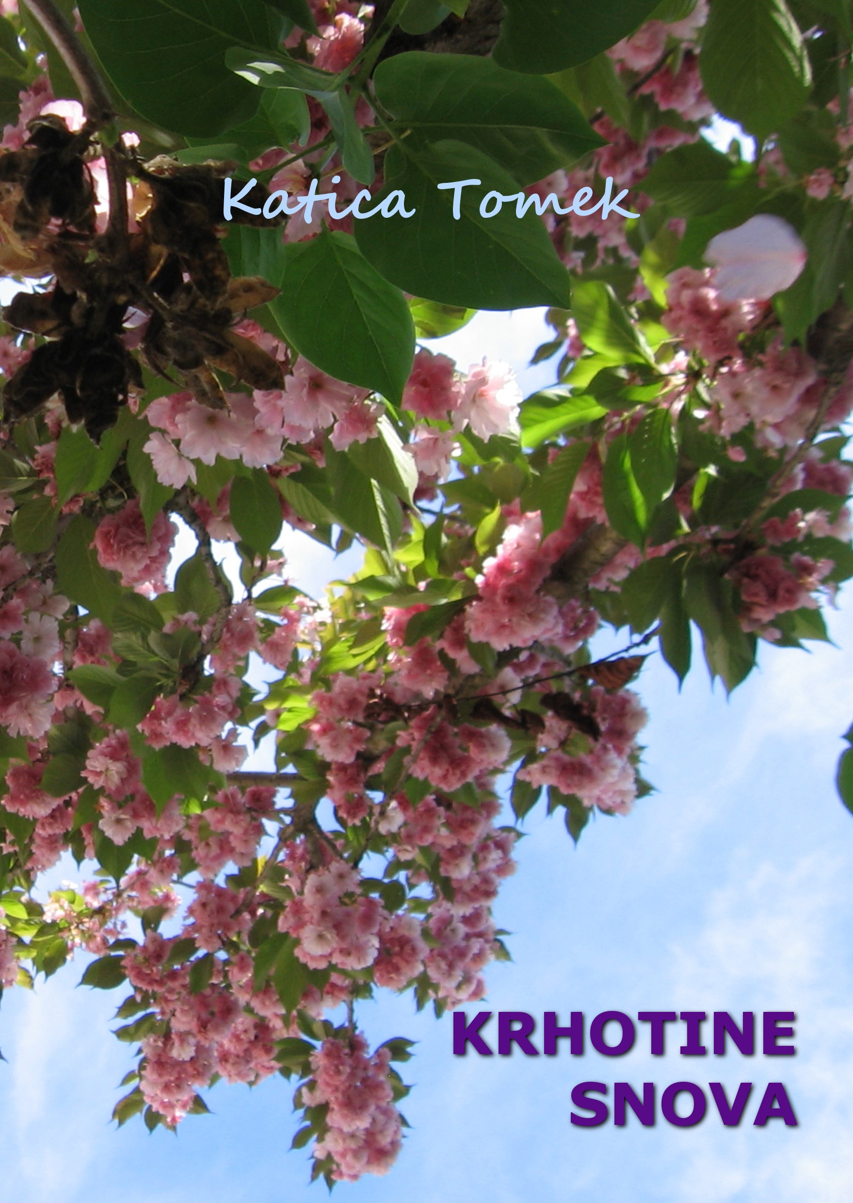 krhotine snova front